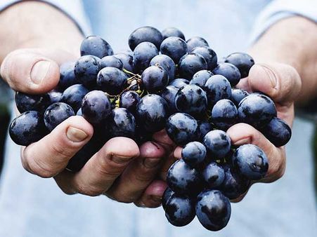 Grape Face Pack: Grape Face Pack: