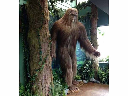 International Cryptozoology Museum