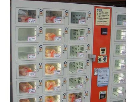 Egg Vending Machine In Japan