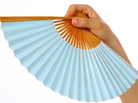 The Japanese Tradition: