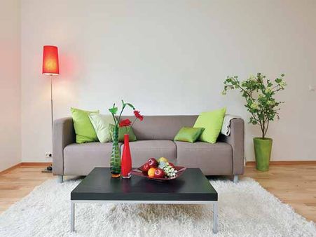 Natural Room Freshener: