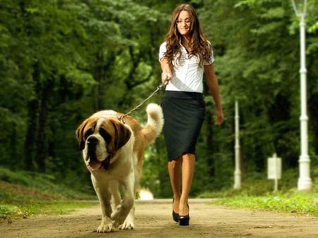 Take A Walk With Them: 