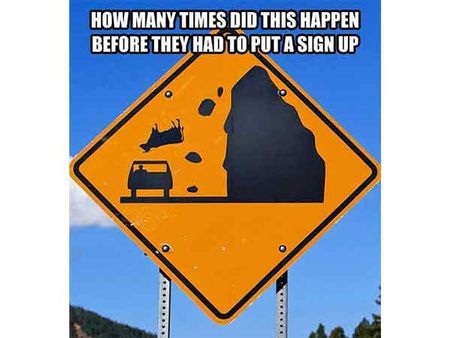 Falling Cow Sign Board