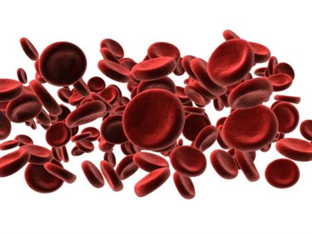 5. Healthy Blood Cells 5. Healthy Blood Cells
