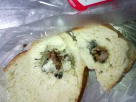 Rat's Severed Head In A Bread Loaf Rat's Severed Head In A Bread Loaf