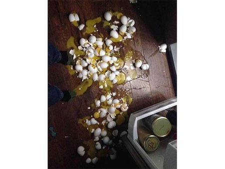 Broken Eggs!