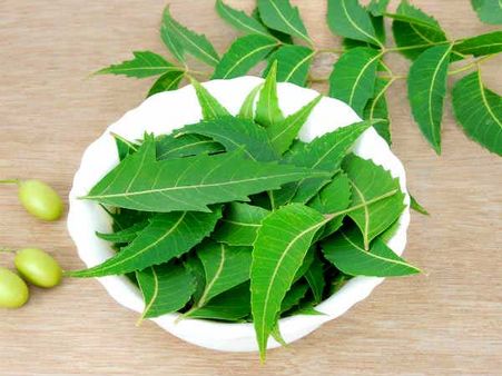 6. Neem Leaves: 6. Neem Leaves: