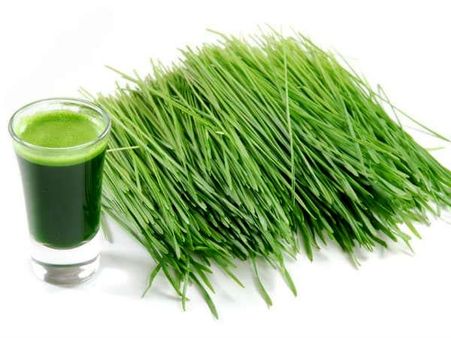 8. Wheat Grass Juice: