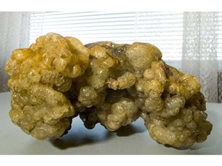 Expensive Perfumes Contain Whale Poop