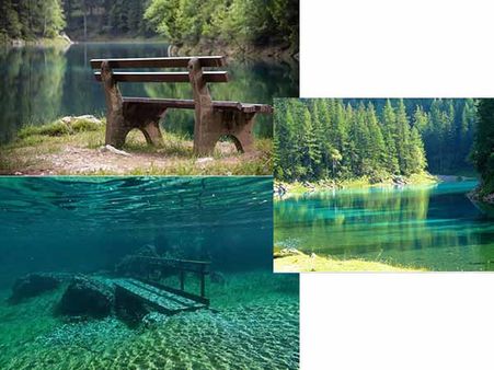 Underwater Sanctuary That Transforms Into A County Park