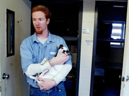 A Prison Worker Who Helped The Inmate Escape