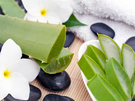 Aloevera Aloevera