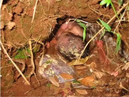 The Baby Who Survived After Being Buried For 24 Hours!! The Baby Who Survived After Being Buried For 24 Hours!!