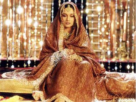 Madhuri's Brown Lehenga Cover Madhuri's Brown Lehenga Cover