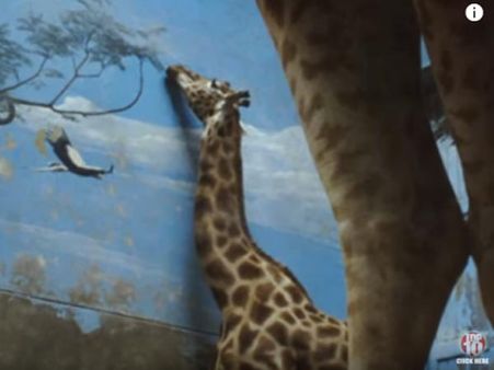 Captivated Animals Captivated Animals