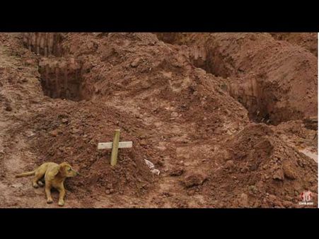 Mourning Dog Mourning Dog