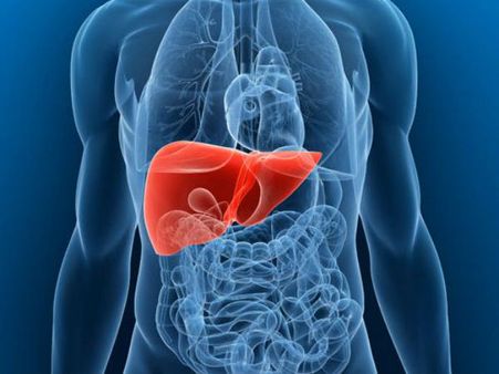 Liver Diseases