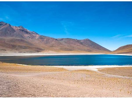 Laguna Cejar (Atacama Desert, Chile)
