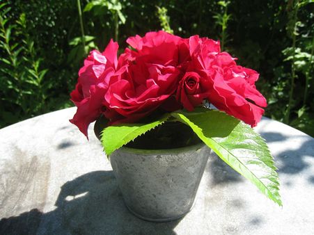 2. Red Roses: 