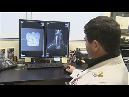 Reports Say... Reports Say...