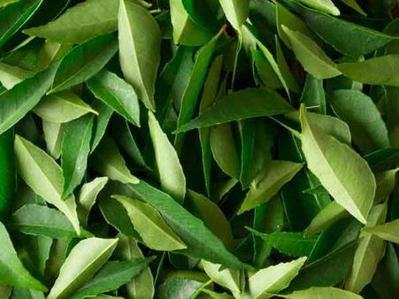 7. Curry Leaves: