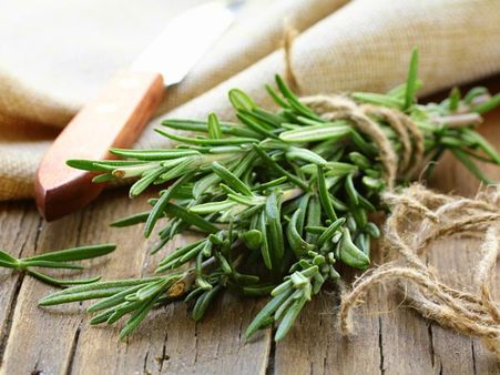 Rosemary 