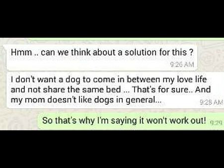 He Was Not Willing To Share His Bed With A Dog!