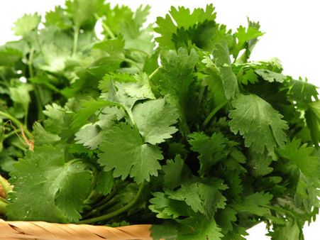 9. Coriander: