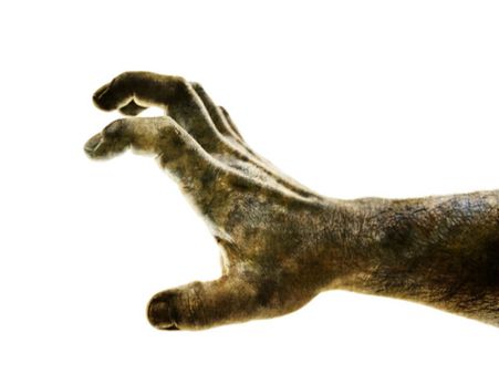 Alien Hand Syndrome Alien Hand Syndrome