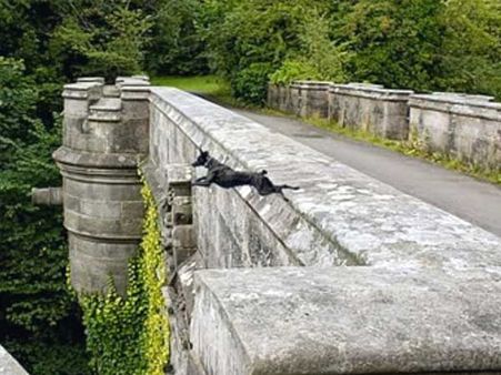 It's Going To Remain A Mystery Forever!!