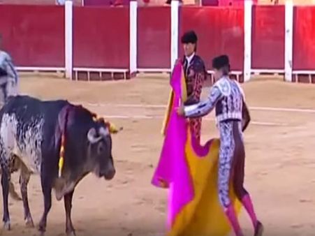 He Was Taken Away Immediately