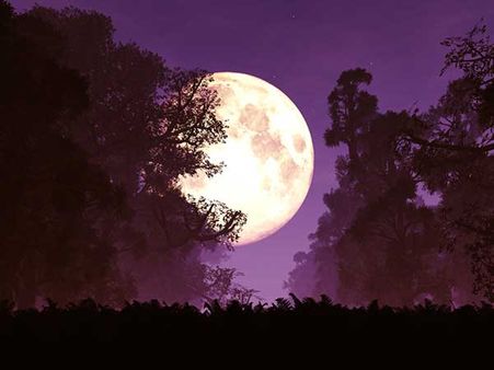 How Many Times Has The Supermoon Happened This Year?