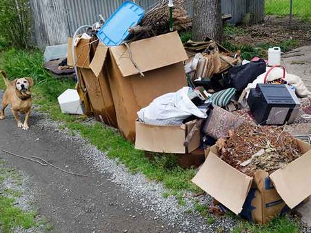 Why European Union Countries Send Garbage To Sweden? 