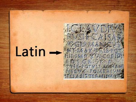 10# Latin 10# Latin
