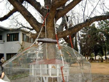 The Punishment Was...