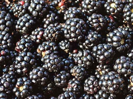 5) Blackberries And Blueberries