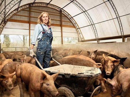 A Pig Farmer