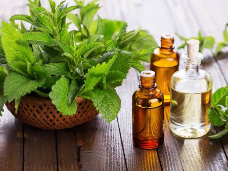 Peppermint Essential Oil Peppermint Essential Oil