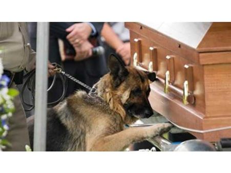 Figo & Kentucky Police Officer Jason Ellis Figo & Kentucky Police Officer Jason Ellis