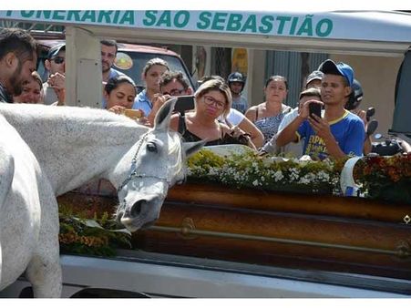Wagner Figueiredo de Lima & His Horse, Sereno Wagner Figueiredo de Lima & His Horse, Sereno