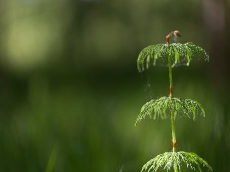 For Severe Joint Pain: