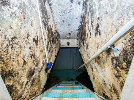 One After Another, All The Family Members Went To The Basement