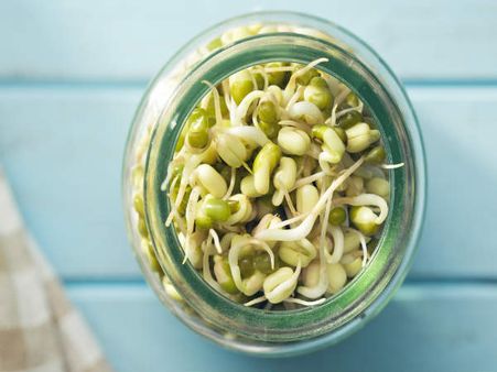 3. A Small Bowl of Sprouts: 3. A Small Bowl of Sprouts: