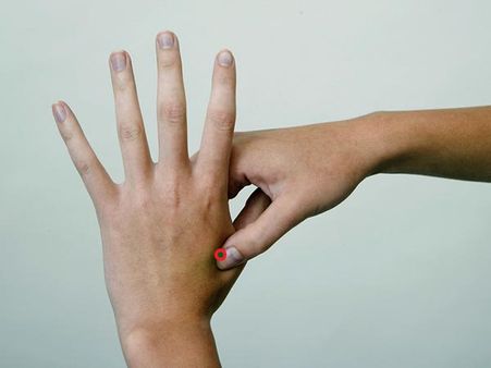 4. In Between The Index Finger & Thumb: 4. In Between The Index Finger & Thumb: