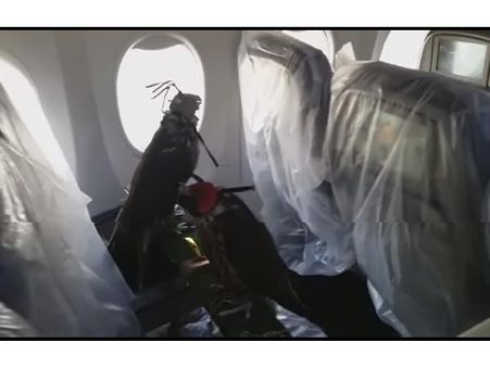 The Rule That Needs To Be Followed!