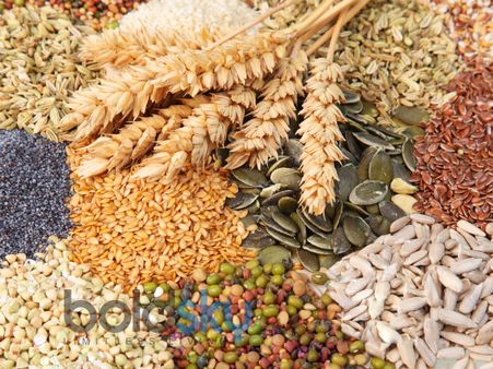 4. Increase Protein Intake: