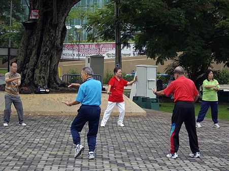 2. Tai Chi: