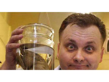 Cut And Preserved The Penis Of This Man