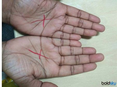 They Also Have A Good Sixth Sense Or Intuition They Also Have A Good Sixth Sense Or Intuition