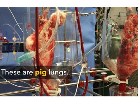 It Was A Dream Project